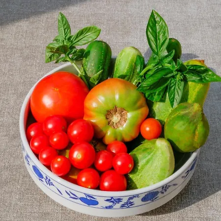 Apartamento Vilma Vižinada