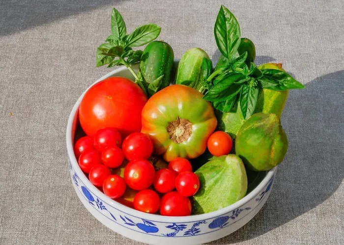 Lägenhet Vilma Vižinada